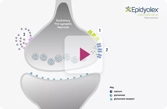 how_epidy_works_video